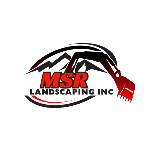 MSR-Logo